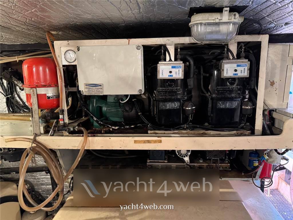 Alfamarine 16,50 fly