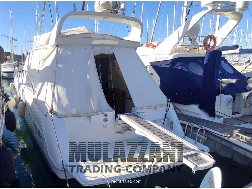 Raffaelli Typhoon fly