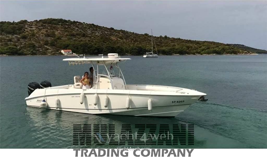 Boston whaler Outrage 320