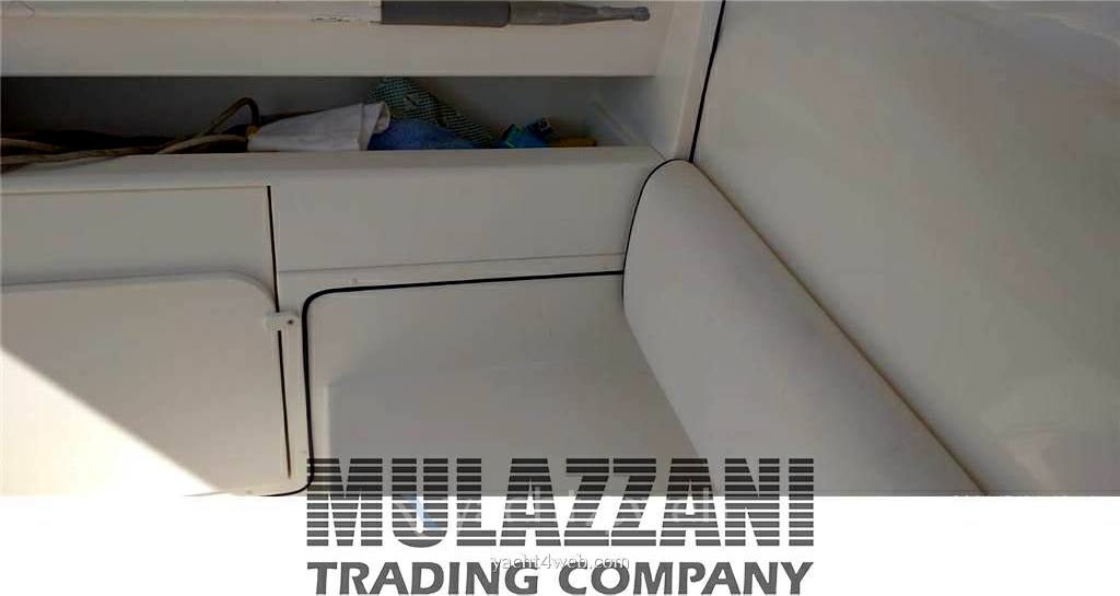 Fiart mare Fiart 36 genius