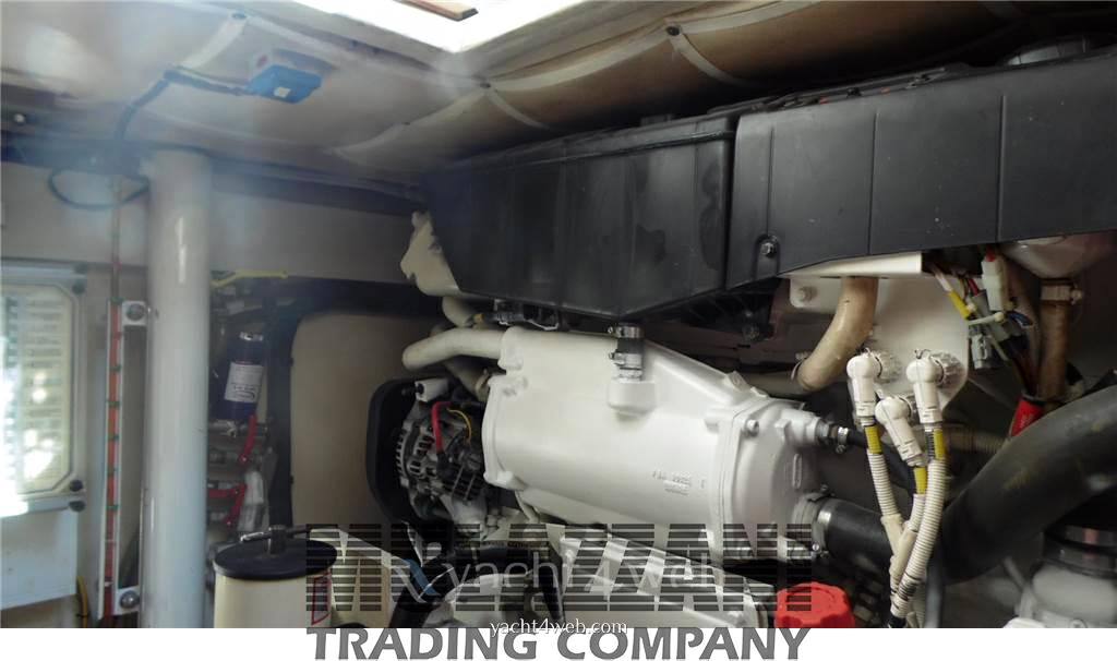 Mochi craft Mochi 44 dolphin