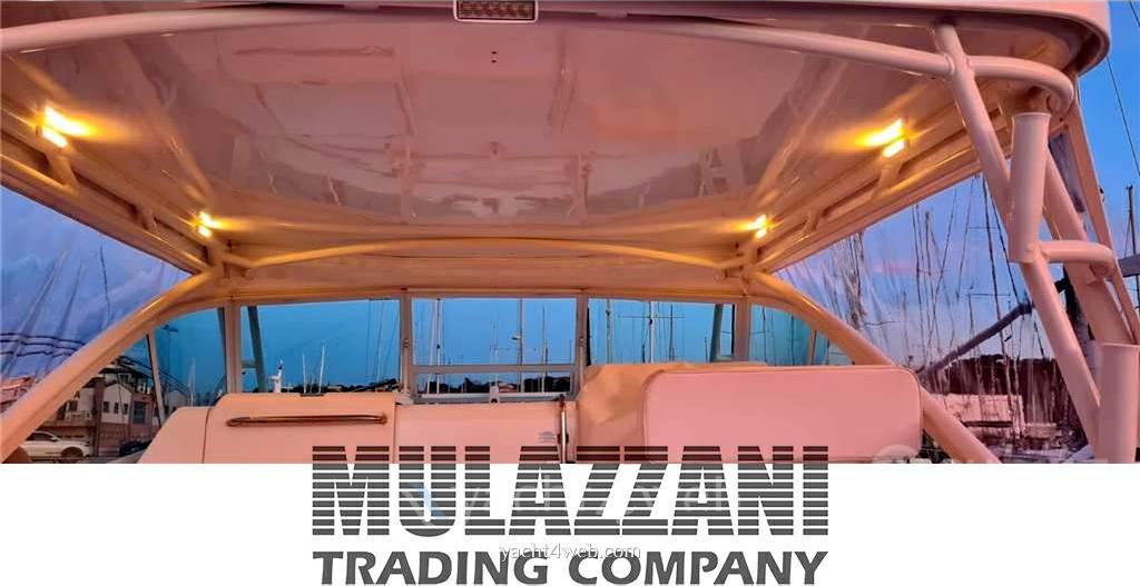 Cabo 31 express Saltwater Fishing used