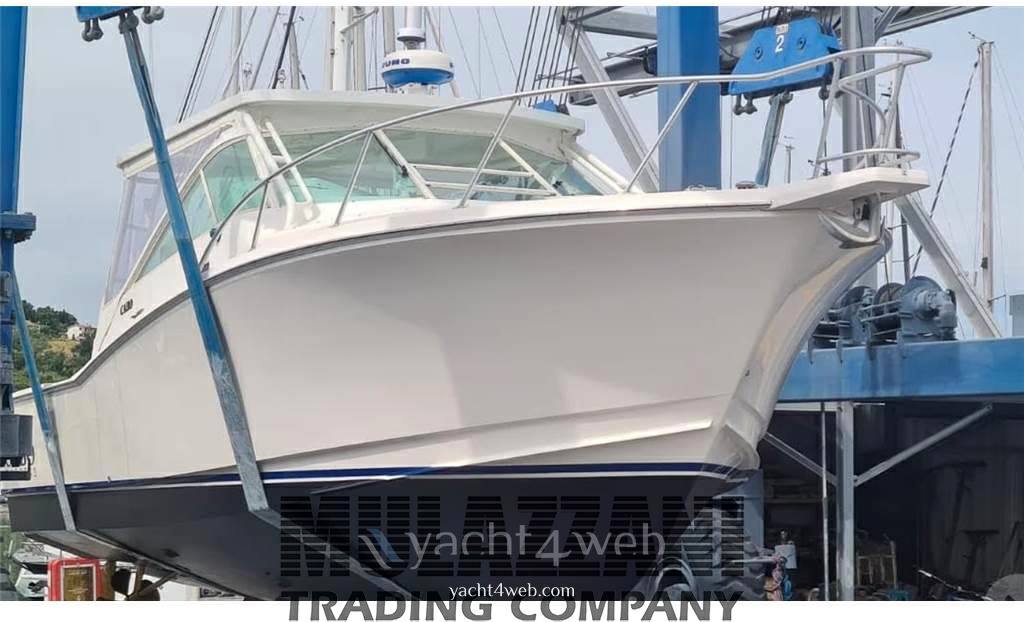 Cabo 31 express Saltwater Fishing