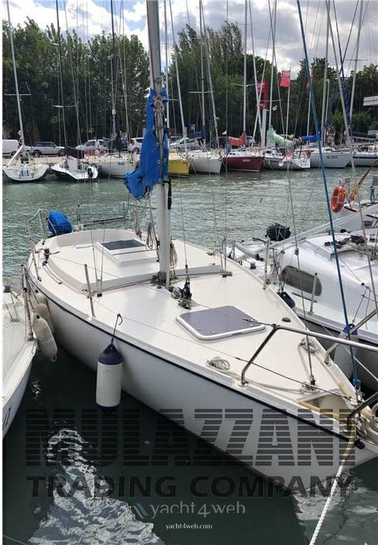 Moschini Pantalone barco à vela