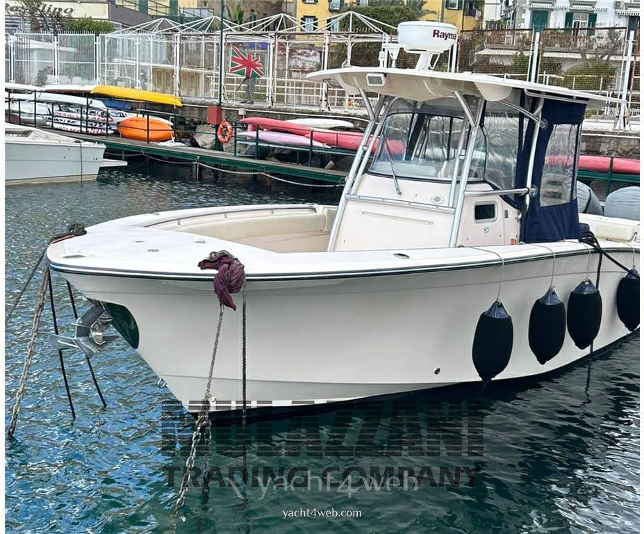 Grady white boats 306 bimini cc Yacht à moteur