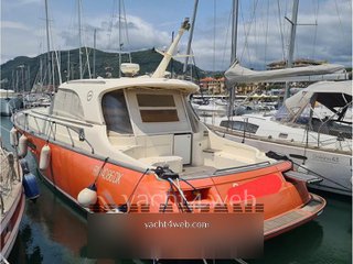 Mochi craft Mochi 44 dolphin