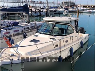 Pursuit Os 335 offshore