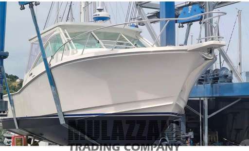 Cabo Cabo 31 Express