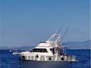 Cabo 35 sportfisher - Photo 3