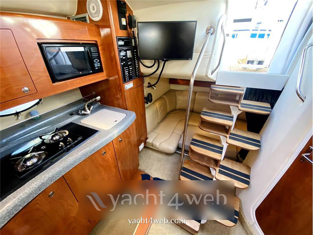 Larson boats 310 cabrio Day cruiser