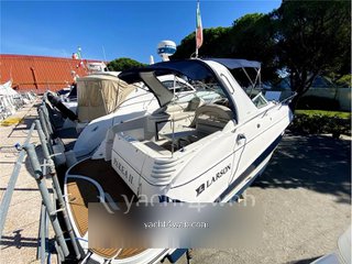 Larson boats 310 cabrio