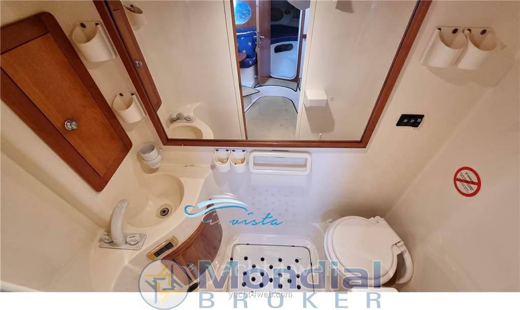 Abbate bruno Primatist 36