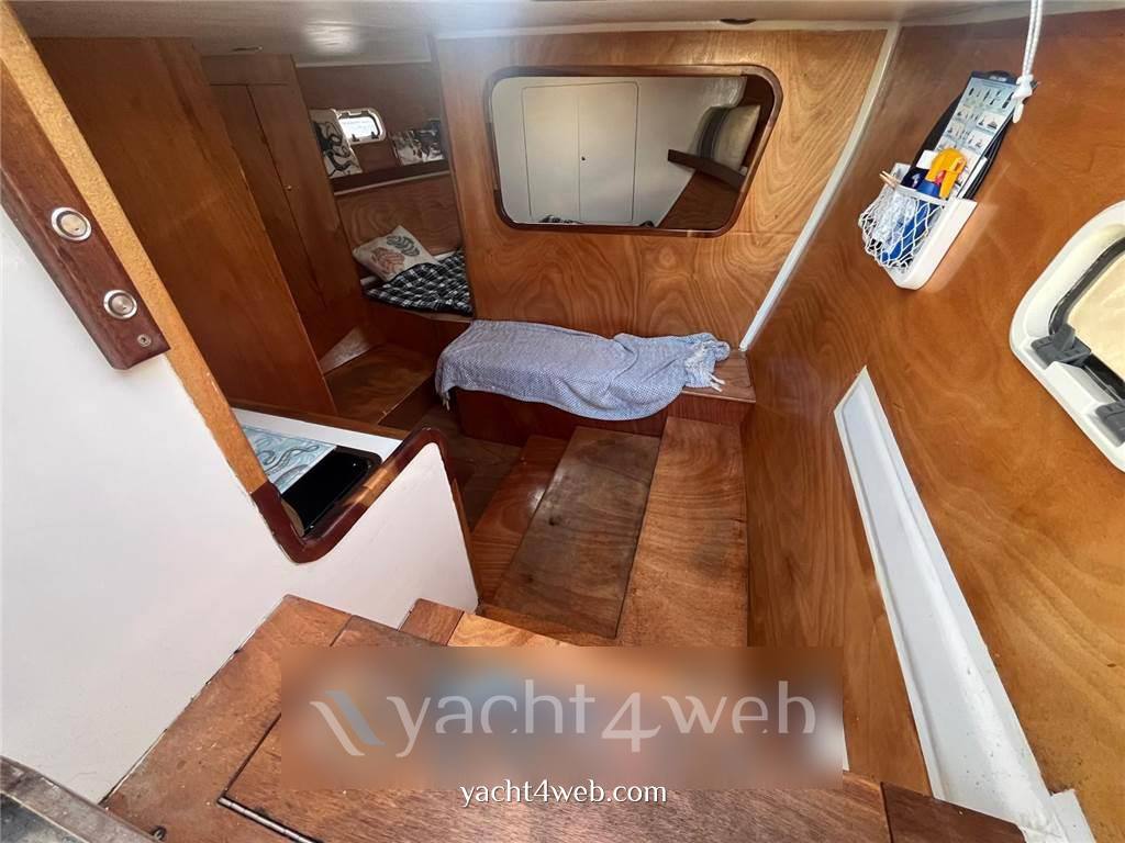 Patrone moreno 25 open