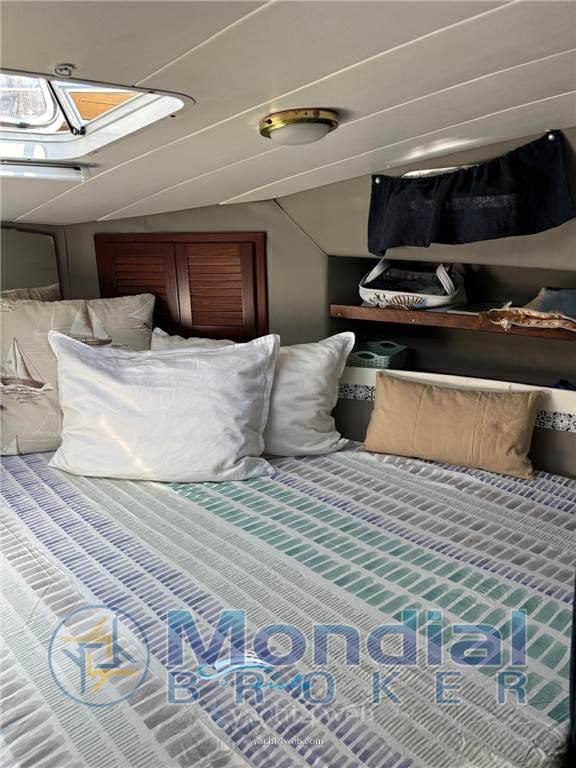 Plastik Space 290 cruiser