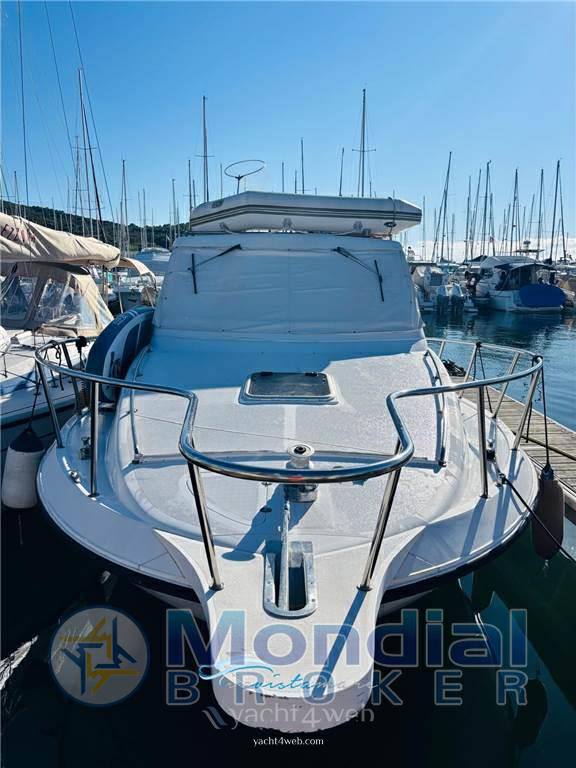 Plastik Space 290 cruiser