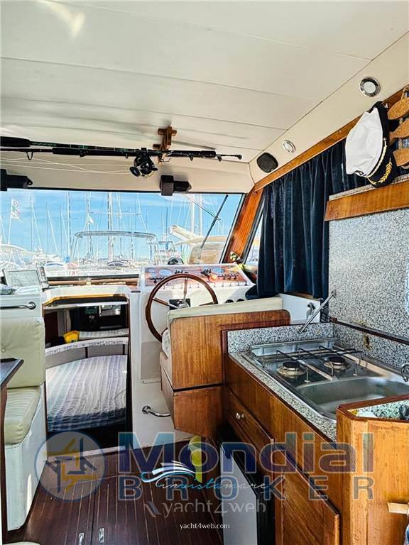 Plastik Space 290 cruiser