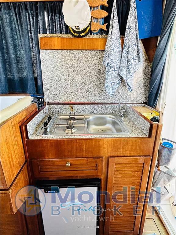 Plastik Space 290 cruiser