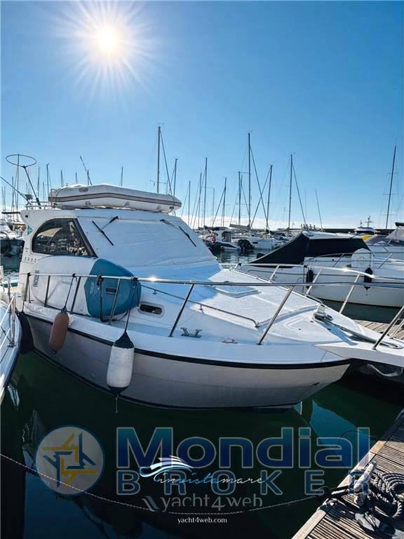 Plastik Space 290 cruiser