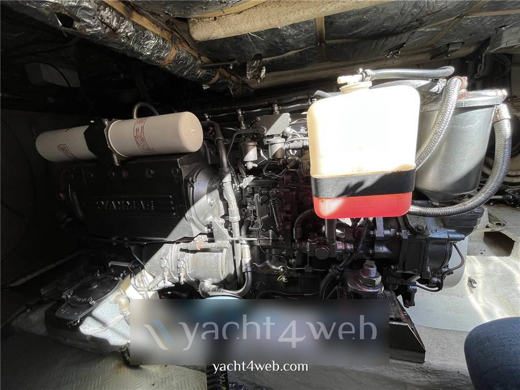 Cantieri estensi 440 goldstar fly