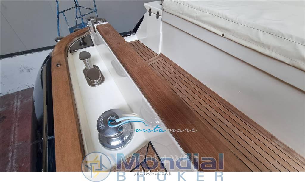 Mochi craft Mochi 51 dolphin