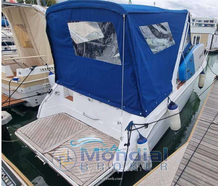 Sea ray 250 da