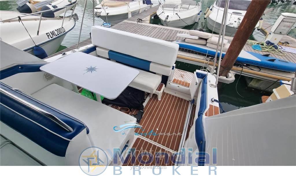 Sea ray 250 da