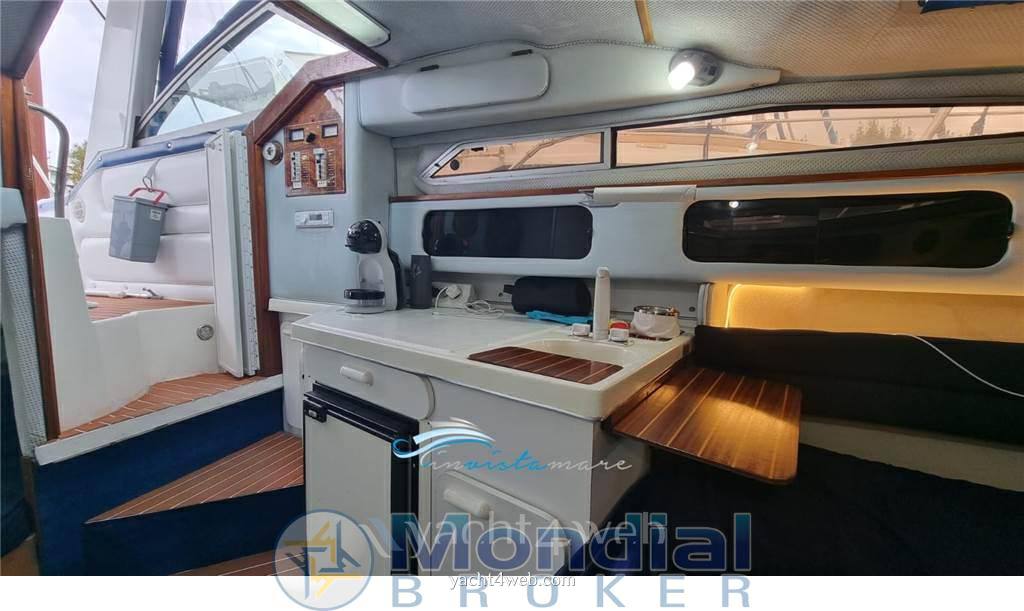 Sea ray 250 da