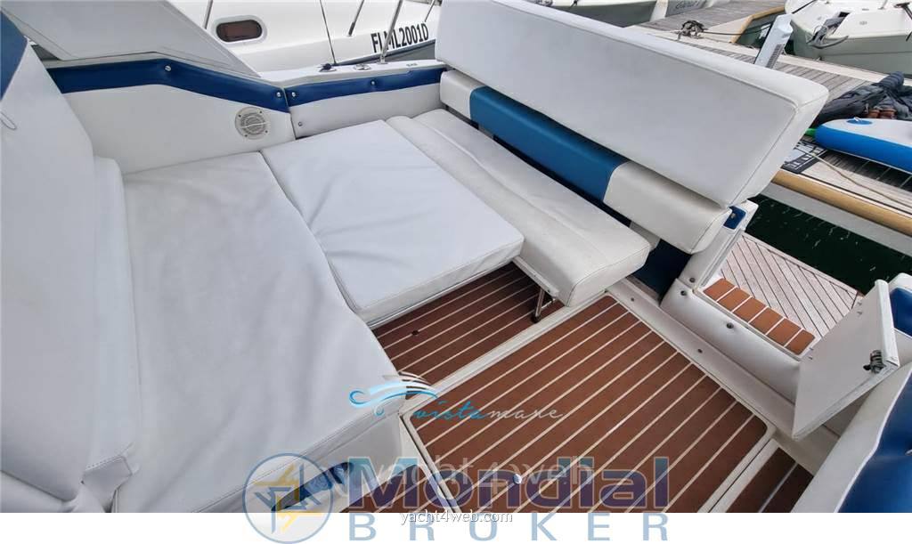 Sea ray 250 da