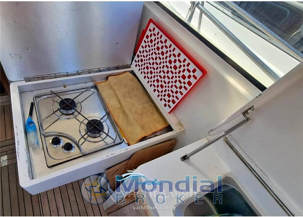 Plastik Space 310 open Day cruiser