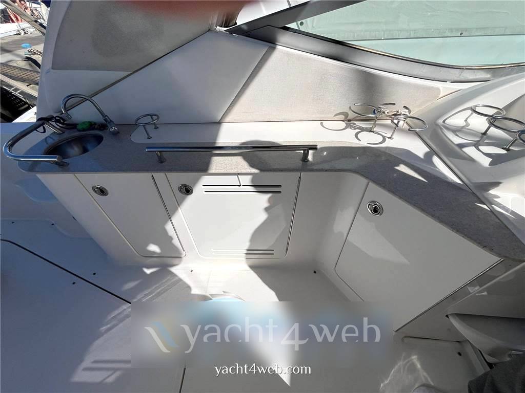 Sea ray 335 da Day cruiser usato