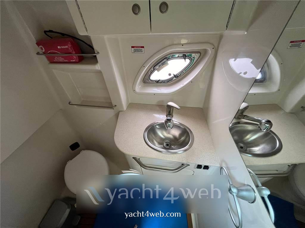 Sea ray 335 da fotografia