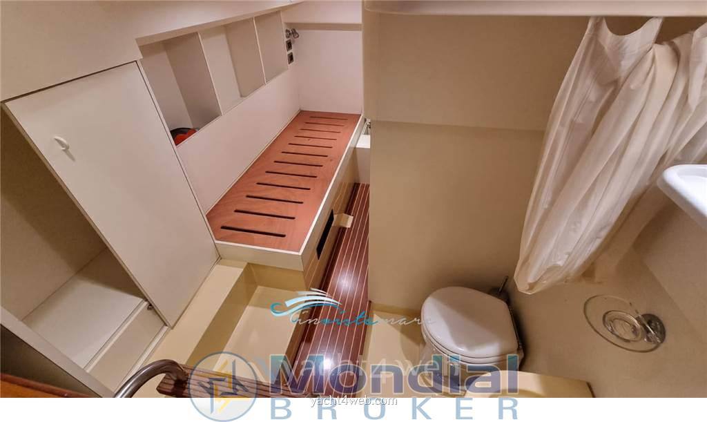 Mochi craft Mochi 51 dolphin occasion