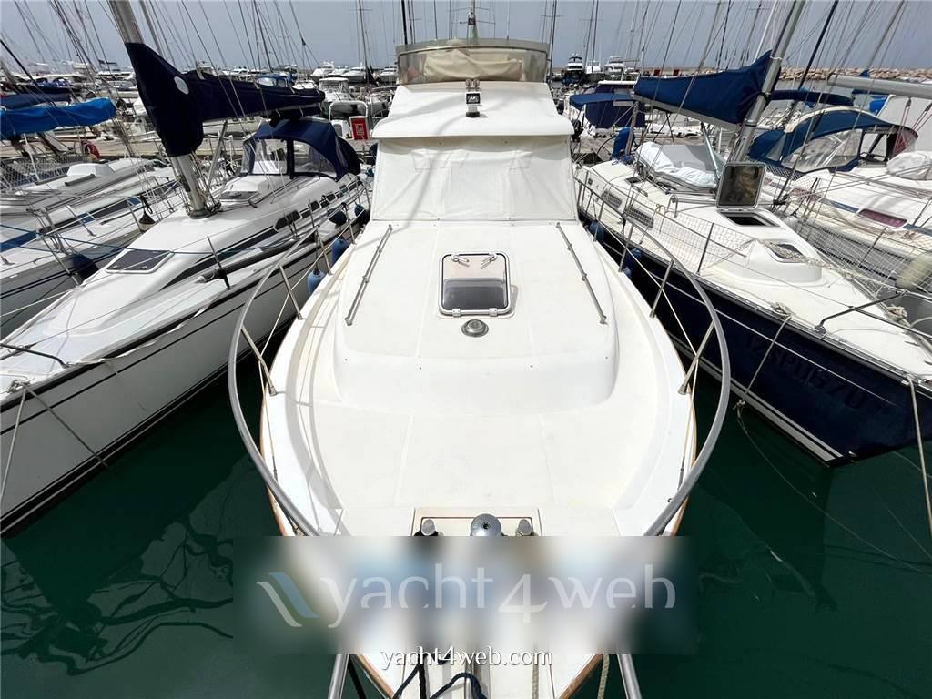 Sciallino 34' fly used