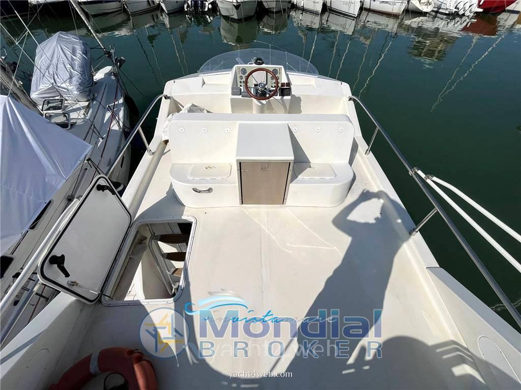 Dellapasqua Dc 11 s flying bridge usato