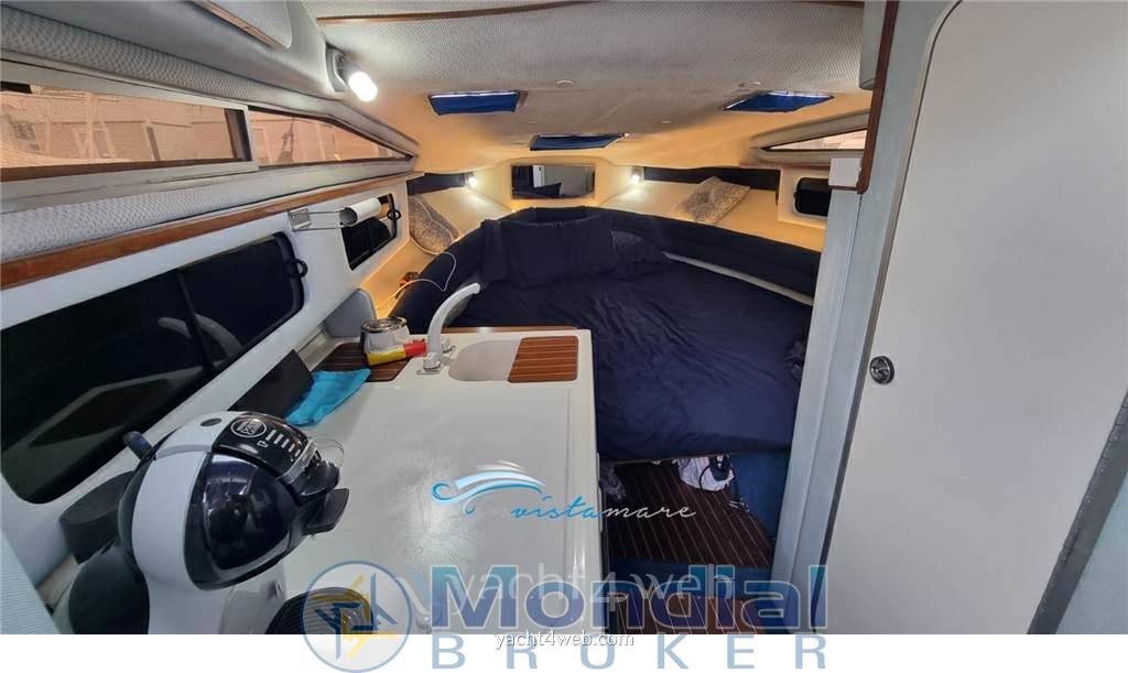 Sea ray 250 da Express cruiser used
