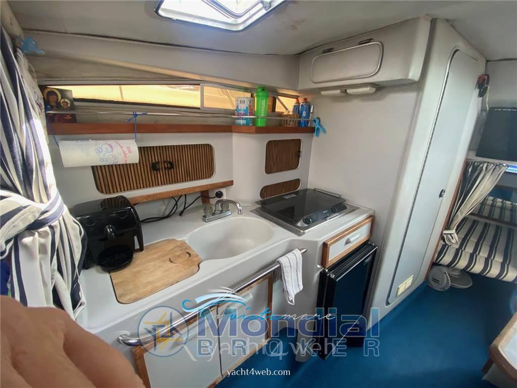 Sea ray 270 sundancer Express Cruiser