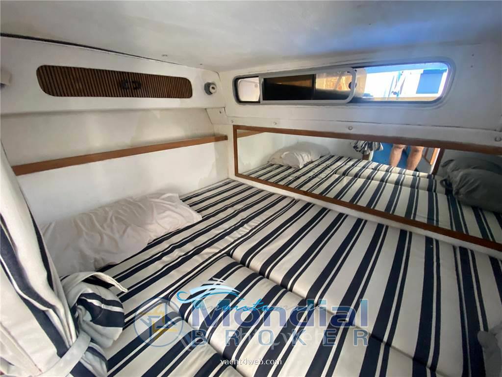 Sea ray 270 sundancer barco de motor