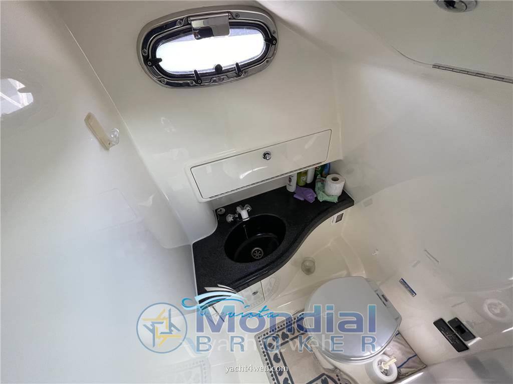 Boston whaler Boston 305 conquest قارب بمحرك مستعملة للبيع