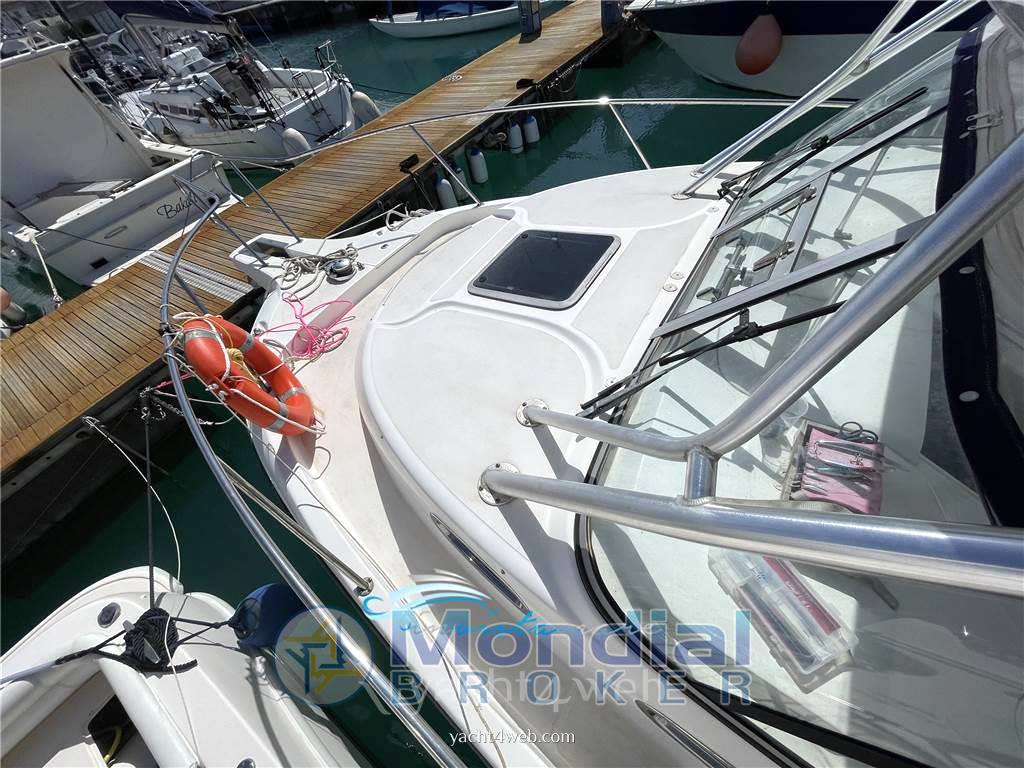 Boston whaler Boston 305 conquest قارب بمحرك مستعملة للبيع