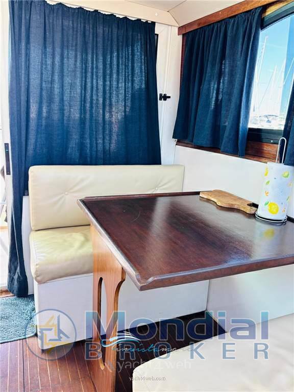 Plastik Space 290 cruiser 照片