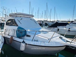 Plastik Space 290 cruiser