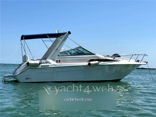 Sea ray 250 da