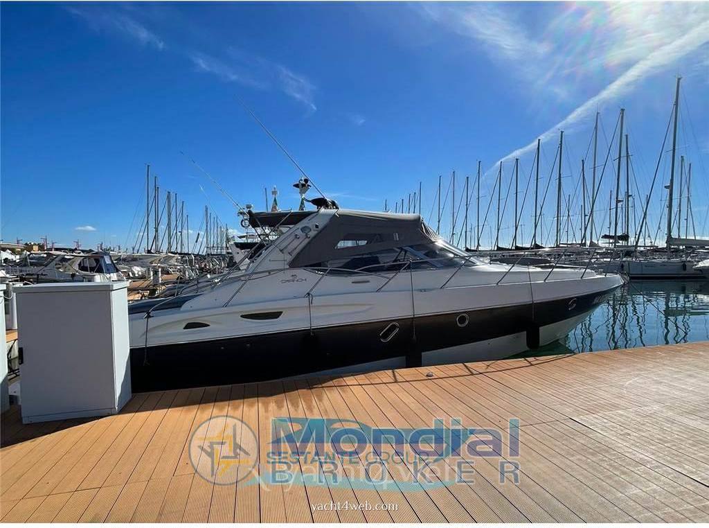Cranchi Mediterranee 41