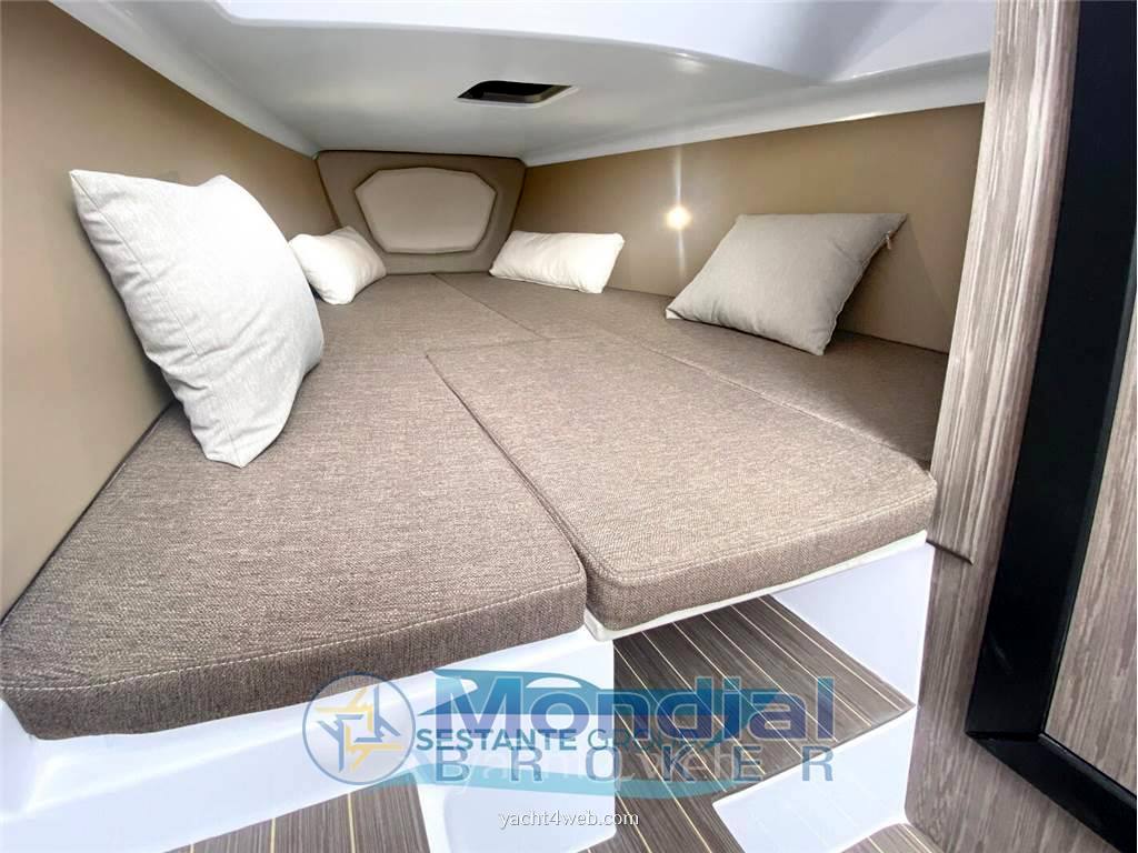 Ranieri international Cayman 28 executive