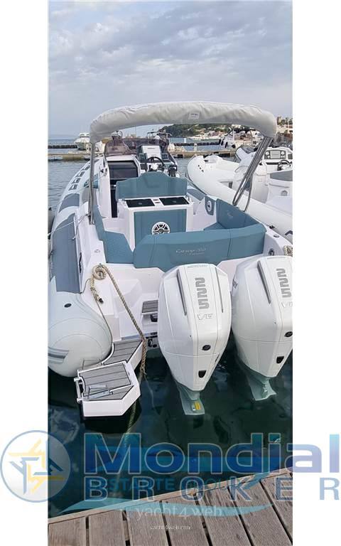 Ranieri international Cayman 28 executive