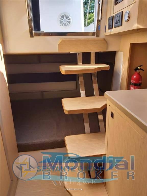 Ranieri international Next 290 sh