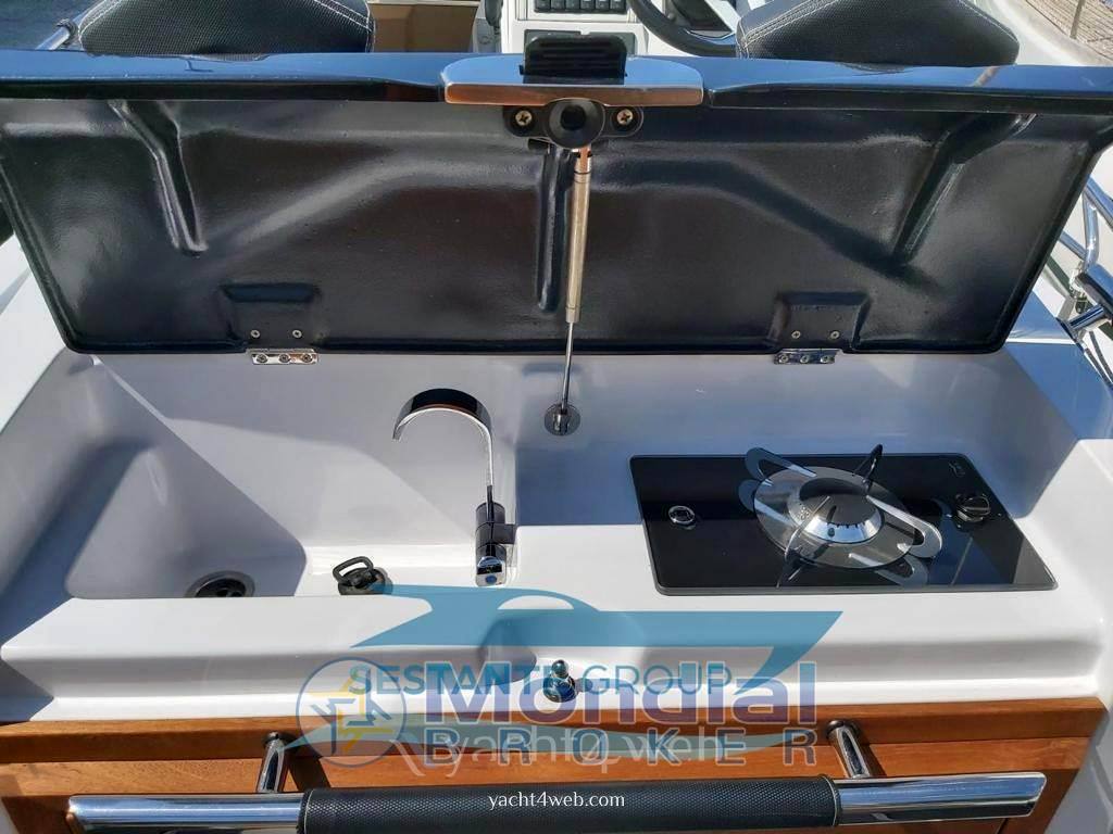 Ranieri international Next 290 sh