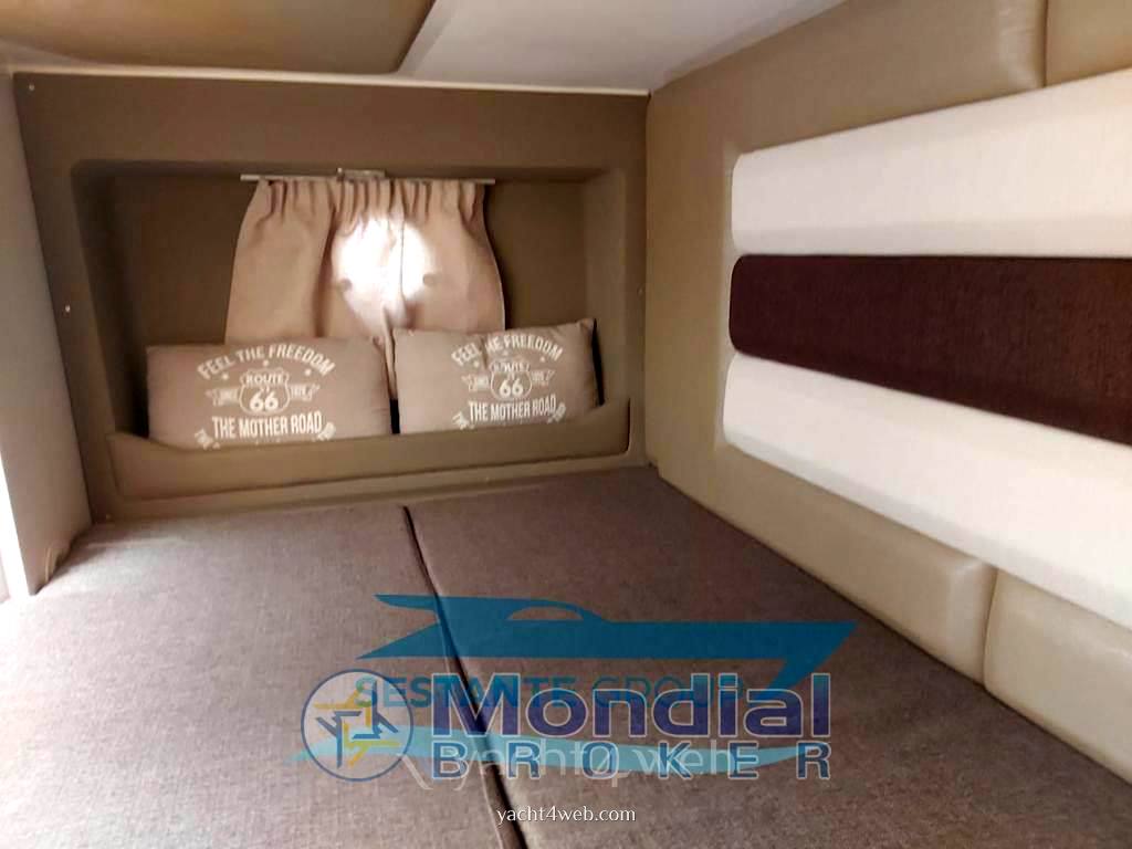 Ranieri international Next 290 sh