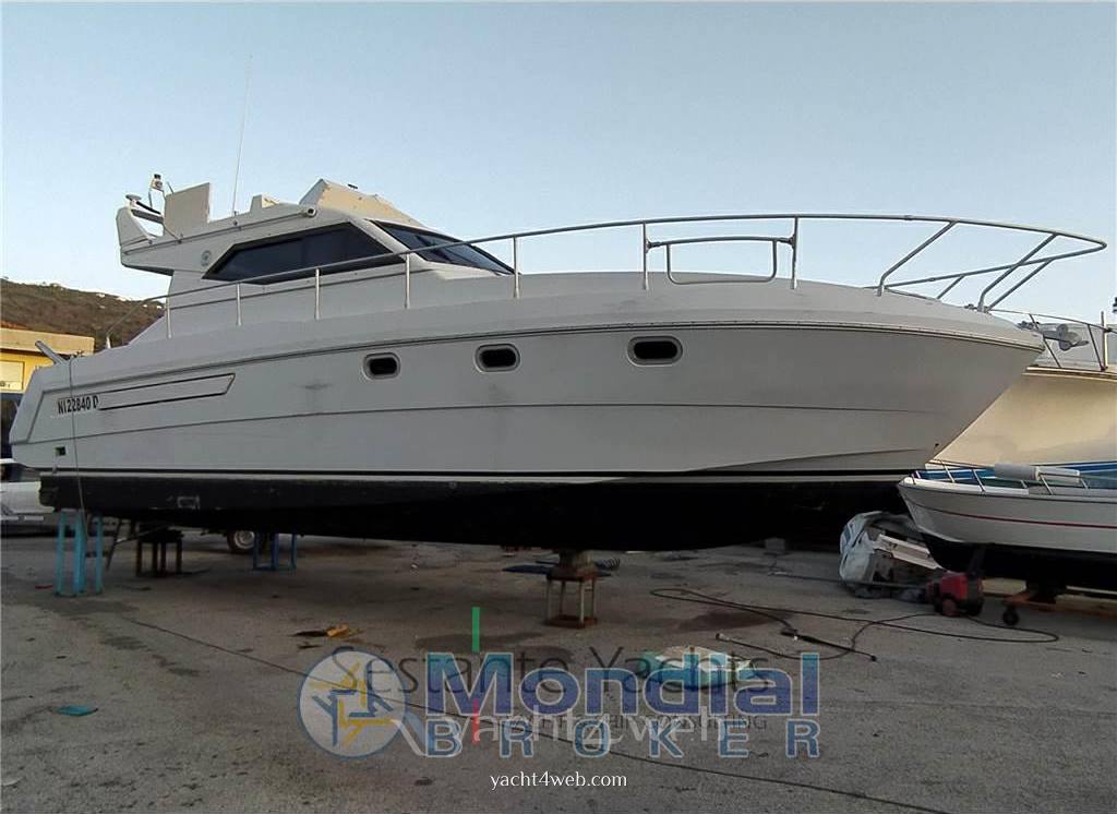 Raffaelli Typhoon fly 