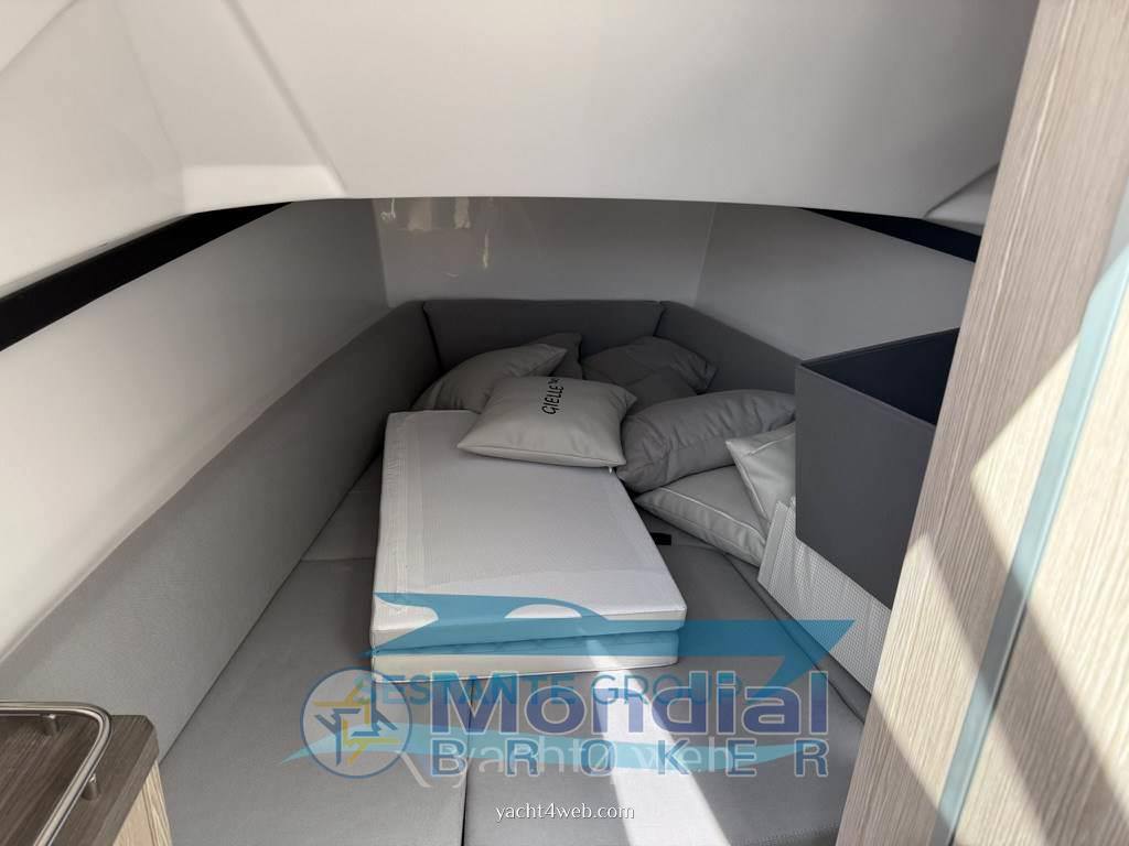 Salpa 33 soleil fotografia